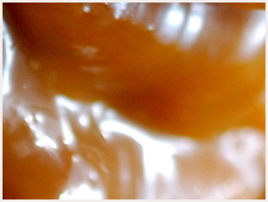 Caramel à la Crème