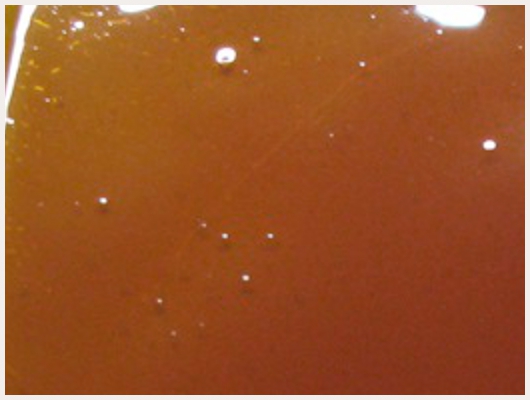 Caramel Beurre Salé Bonbon