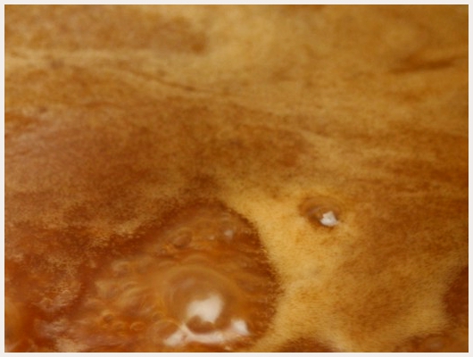 Caramel Beurre Salé Breton