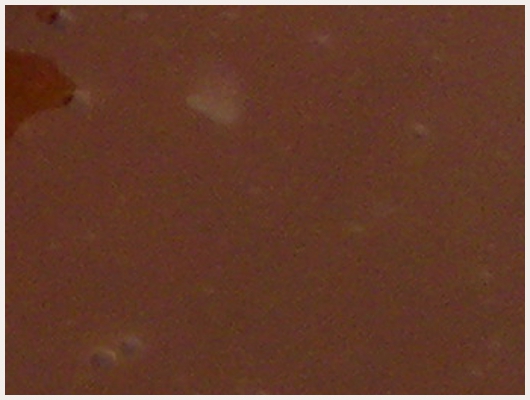Caramel Carambar