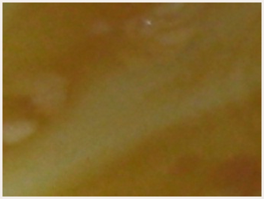 Caramel Citron