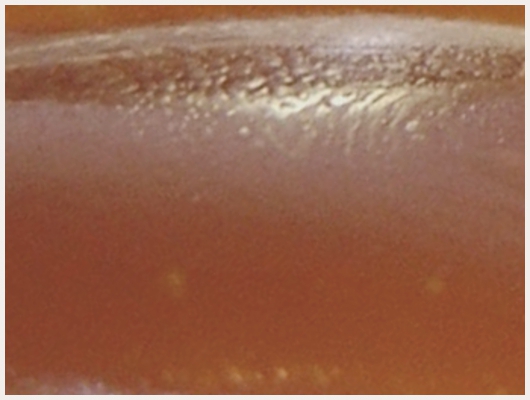 Caramel Crémeux