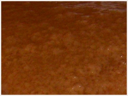 Caramel de Pommes