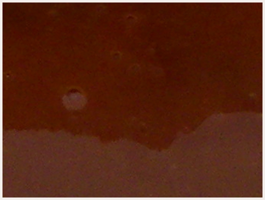 Caramel Dukan
