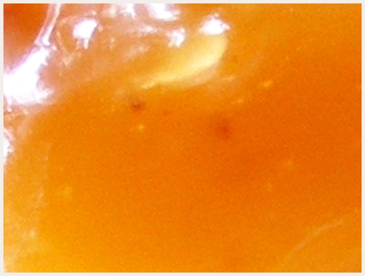 Caramel Epais