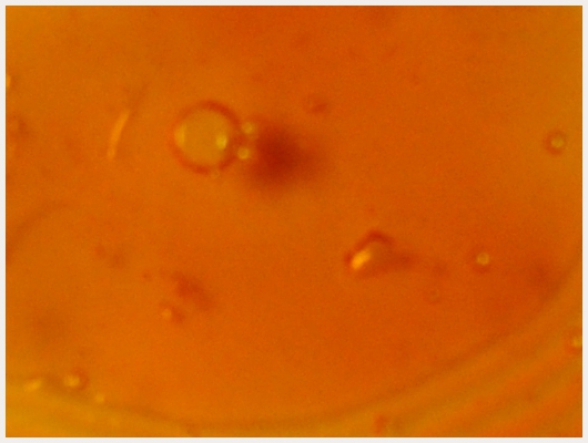 Caramel Fructose