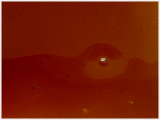 Caramel Glucose