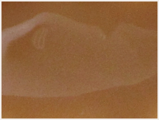 Caramel Lait Concentré