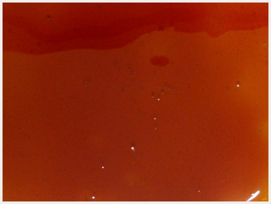 Caramel Liquide Maison
