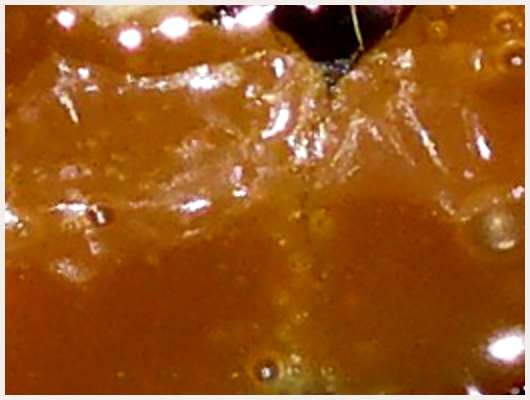Caramel Liquide Tupperware