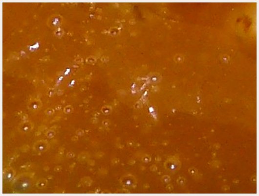 Caramel Maison