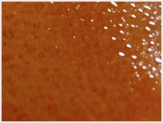 Caramel Mou Beurre Salé