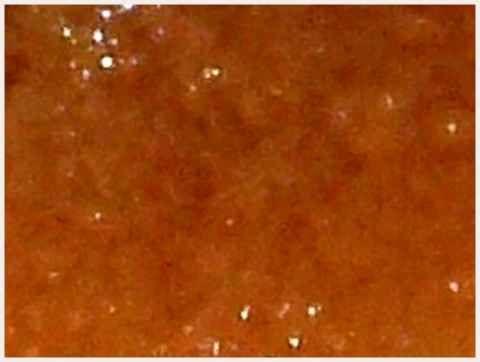 Caramel Pomme
