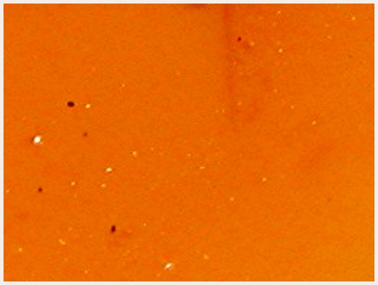 Caramel pour Flan