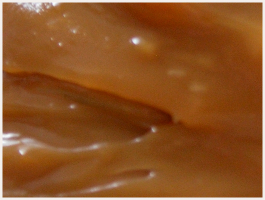 Caramel pour Gteau