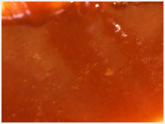 Caramel Roux