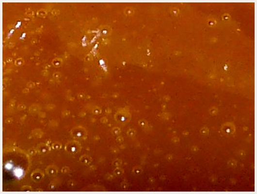 Caramel Sans Eau