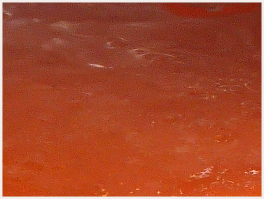 Caramel Tatin