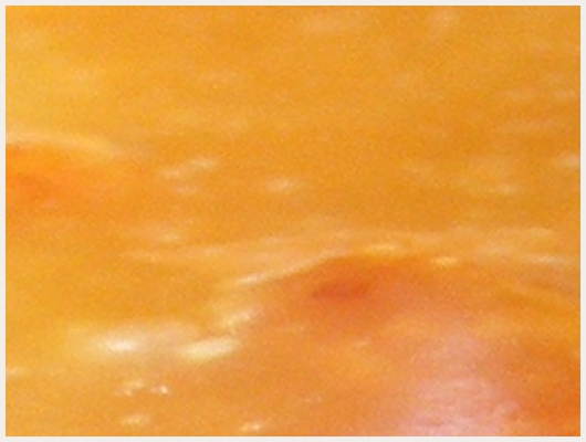Caramel Thermomix