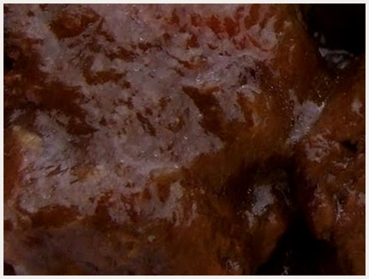 Carbonnade de Boeuf à la Bière