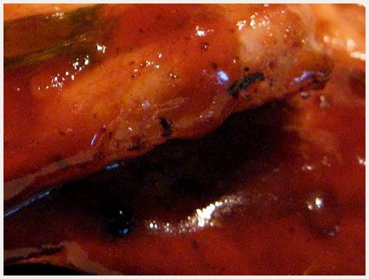 Carré de Porc au Miel