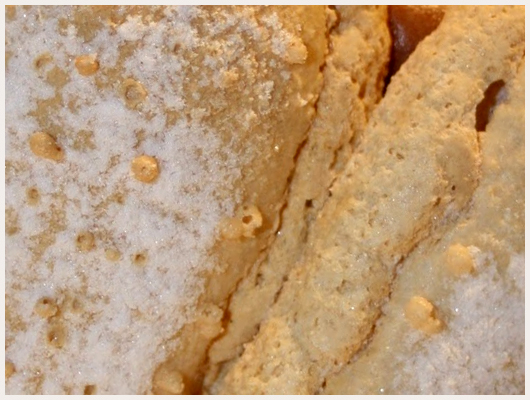 Charlotte au Chocolat au Thermomix