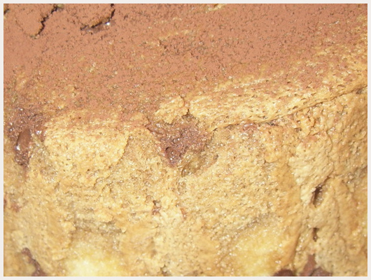 Charlotte au Chocolat avec Gélatine