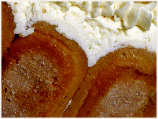 Charlotte au Chocolat Blanc