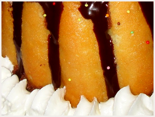 Charlotte au Chocolat Chantilly