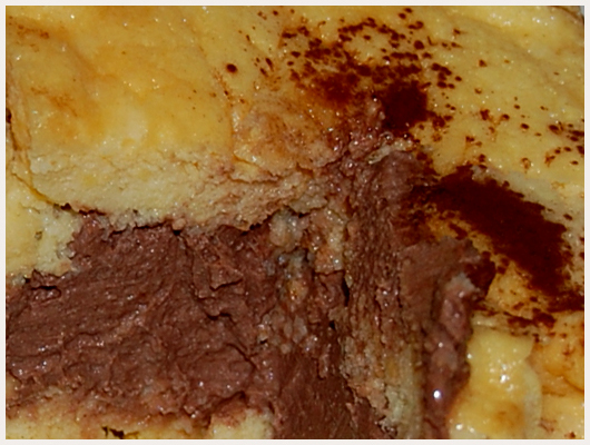 Charlotte au Chocolat Dukan