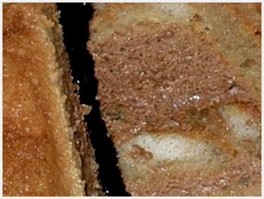 Charlotte au Chocolat et Crème de Marron