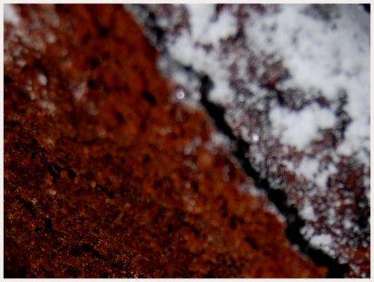 Charlotte au Chocolat et Mascarpone
