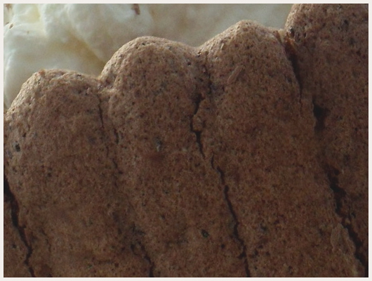 Charlotte au Chocolat Individuelle