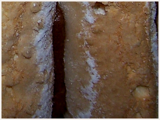 Charlotte au Chocolat Sans Beurre