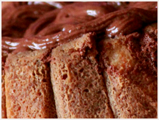 Charlotte au Chocolat Sans Cuisson