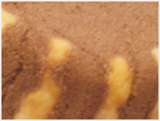 Charlotte au Chocolat Thermomix