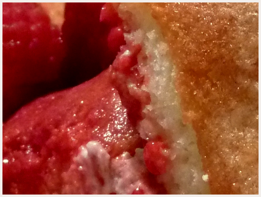 Charlotte au Fromage Blanc et Framboise