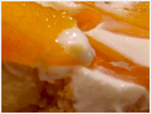 Charlotte au Fromage Blanc et Fruit