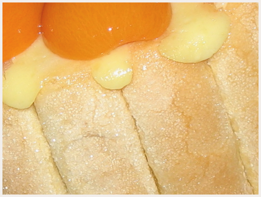 Charlotte aux Abricots Facile