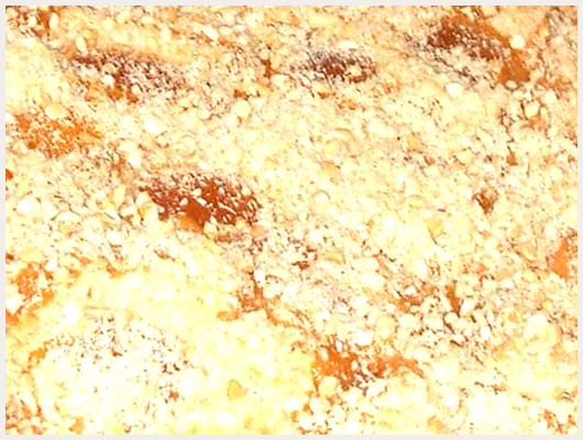 Charlotte aux Amandes