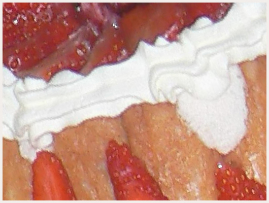 Charlotte aux Fraises Chantilly