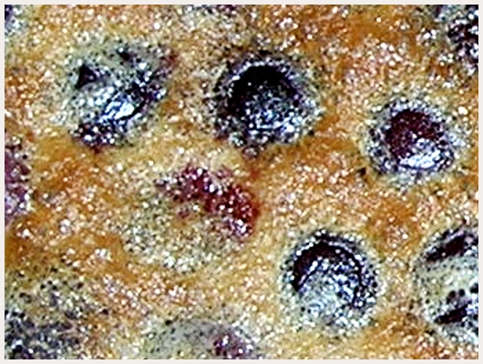 Clafoutis aux Cerises