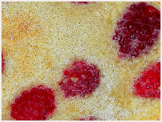 Clafoutis aux Framboises