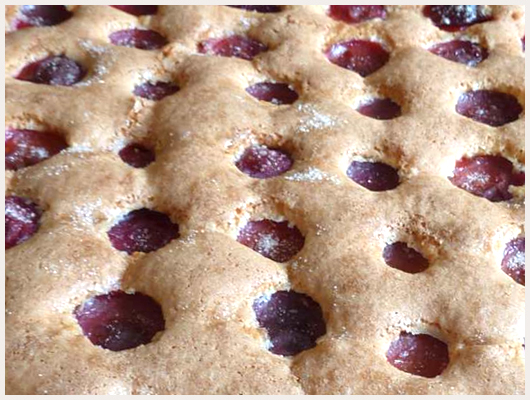 Clafoutis aux Prunes