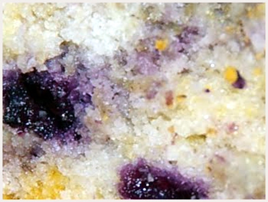 Clafoutis Bleuets