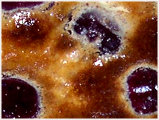 Clafoutis Facile