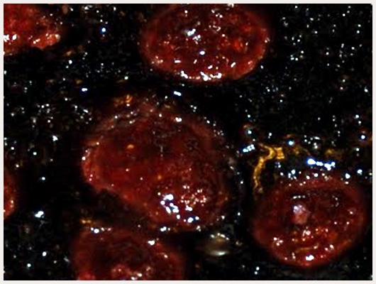 Clafoutis Framboise Chocolat