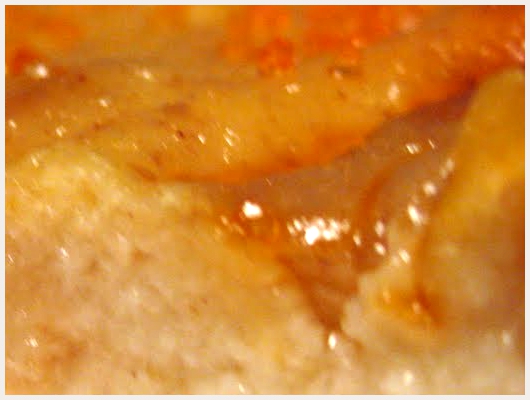 Clafoutis Lait Concentr