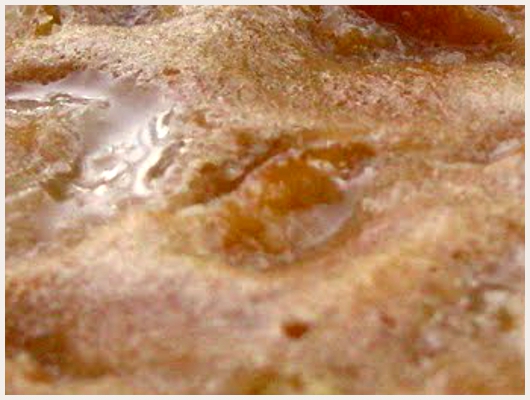 Clafoutis Mirabelles Carambar