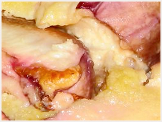 Clafoutis Nectarine